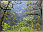 foto Passeggiata Rocca - Zanetti - Corlo